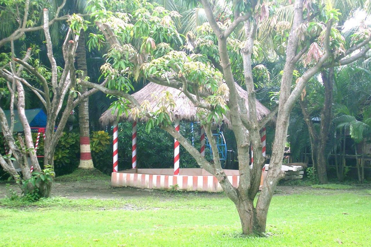 Palm Village Resort Kalküta Dış mekan fotoğraf