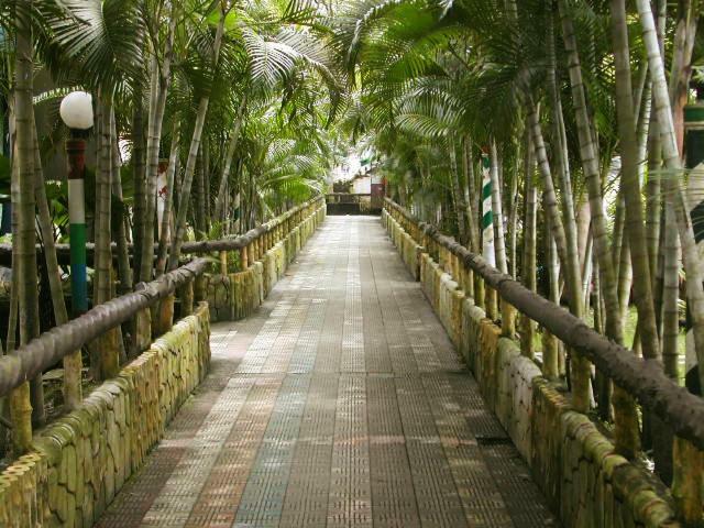 Palm Village Resort Kalküta Dış mekan fotoğraf